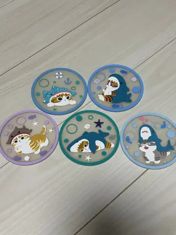 상어냥 코스터 5장 세트