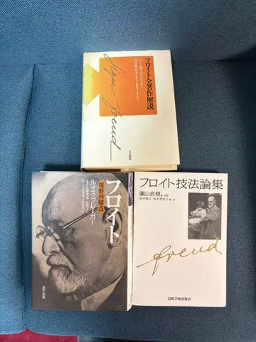 프로이트 전작품 해설 기법론집 시야의 암점 기입 없음