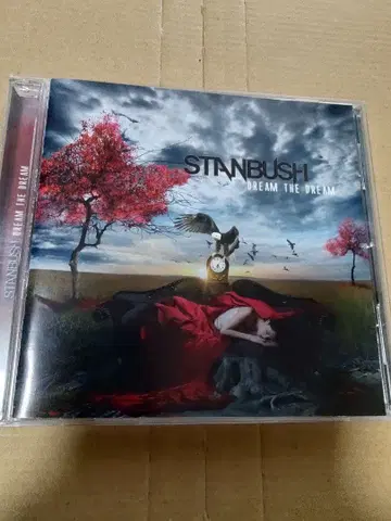 STAN BUSH / DREAM THE DREAM 스탠 부시 일본 국내반