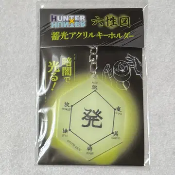HUNTER x HUNTER 육성도 축광 아크릴 키링 점페스