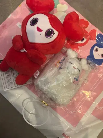 첸리 더블리 세트