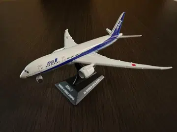 ANA 보잉 787