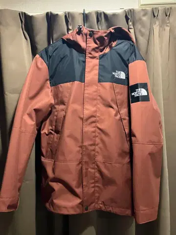 THE NORTH FACE 마운틴 후드티 브라운/블랙