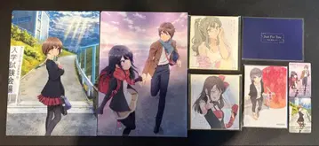 청춘 돼지 특전 묶음 판매