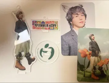 미세스 그린애플 한국 후지사와 료카 아크릴 스탠드