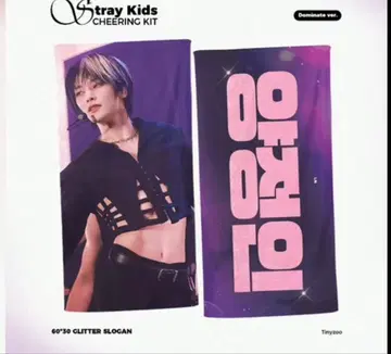 Stray Kids 슬로건 아이엔