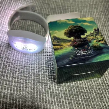 Mrs. GREEN APPLE 노아의 방주 라이트 밴딩 외박 있음