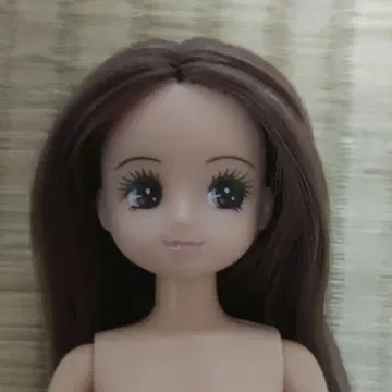리카짱 인형 본체