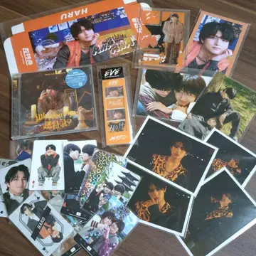 14호차 하루 세트 카시와기 유 초특급