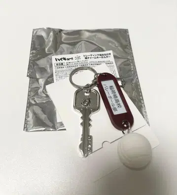 하이큐!! 트레이딩 고교명 부착 열쇠 참 키링 이나리자키 고교