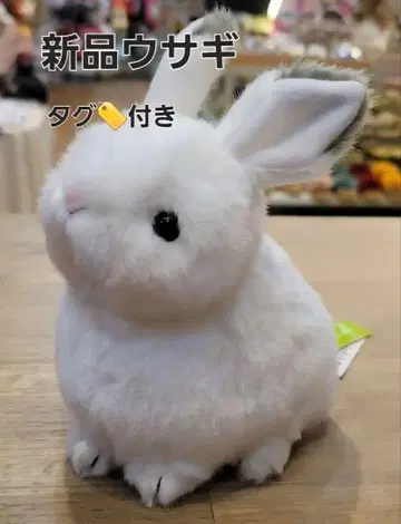 완판템 새상품 요시토쿠 봉제 인형 토끼 화이트 토끼 봉제 인형