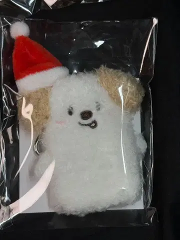 RIIZE 시부야 109 손가락 인형 앤톤