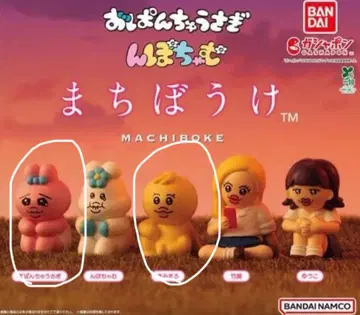 빤쮸토끼 닌포차무 기다림