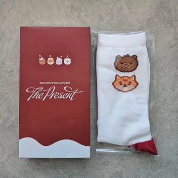 DAY6 밤 네이비 The present 퇴장 기프트 양말