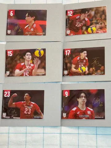 배구 남자 일본 대표 엽서 컬렉션