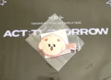 TXT 캡슐 토이 헤어 클립 범규