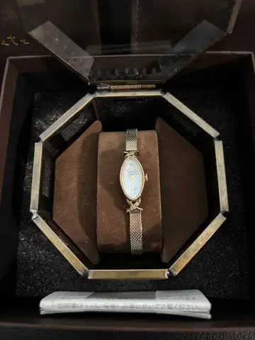 agete 타원형 메쉬 밴드 시계