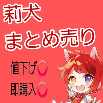 리이누 묶음 판매