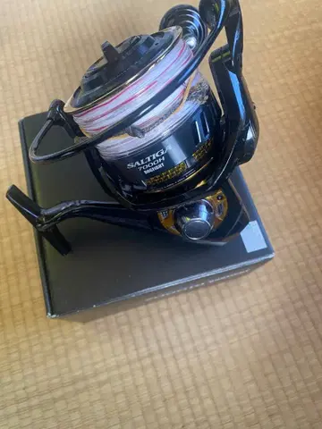 10 솔티가 도그 파이트 7000H