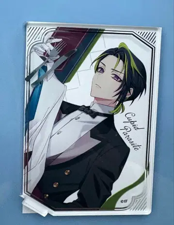 오토마 오토후유 큐피파라 케이사잉