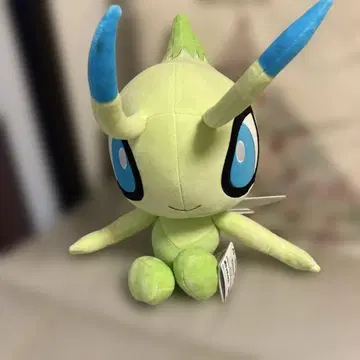 새상품 포켓몬 세레비 봉제 인형