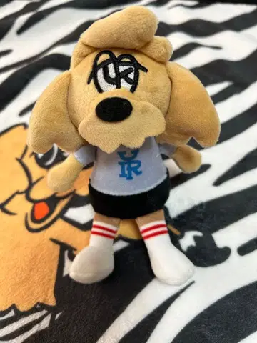 유리 아시아 투어 봉제 인형 키링 강아지 도그