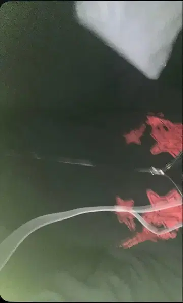 LITTLE Willow 후드티