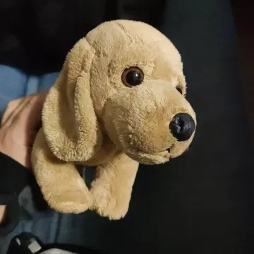 토이저러스 미니어처 닥스훈트 봉제 인형 강아지