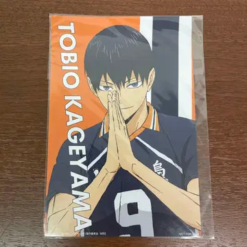 하이큐!! 클레버 엽서 카게야마 토비오