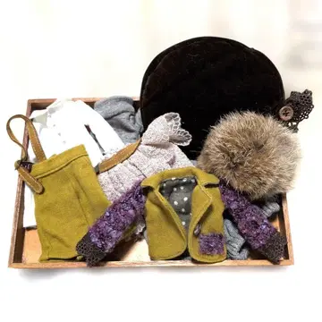 네오 브라이스 사이즈 토탈 코디