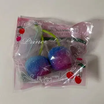 BLOOM 블루 스퀴즈 체리