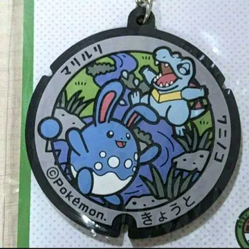 포켓몬 포켓몬스터 포켓후타 러버 키링 교토 마릴리