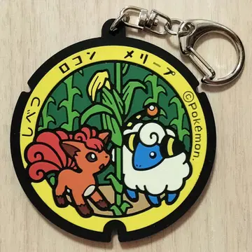 포켓프타 러버 키링 포켓몬go 포켓몬 홋카이도 로콘 멜리