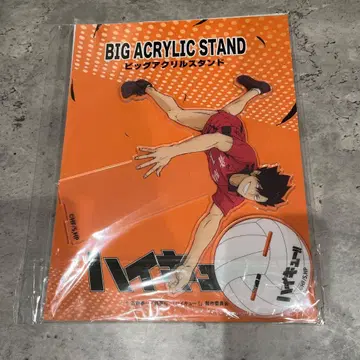 하이큐!! 빅 아크릴 스탠드