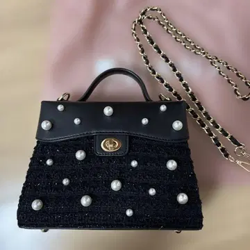 DIANA 루미네 한정판 펄 백