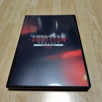 tintz AUDITION PROJECT Special Edition