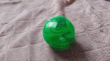 히나타자카46 쇼겐지 요코 사인볼 5번째 히나탄사이