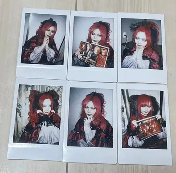 Royz 공대 폴라로이드