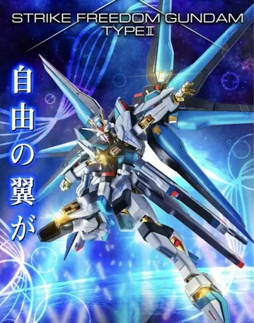 스트라이크 프리덤 건담 타입 II 메탈 로봇혼