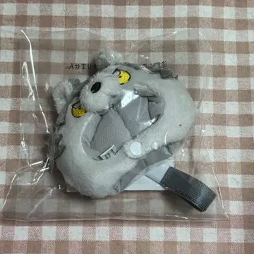 앙스타 이츠누이 코우가 숄더