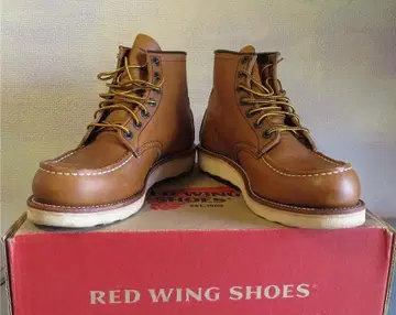 Red Wing 아이리쉬 세터