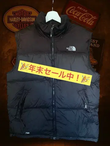 [ 연말 세일 중! ] THE NORTH FACE 다운 베스트