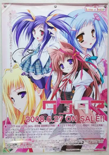 타코타마 B2 포스터