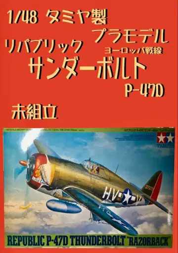 타미야 1/48 P-47D 썬더볼트 프라모델