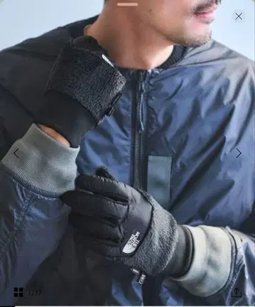 THE NORTH FACE 데나리 이칩 그로브