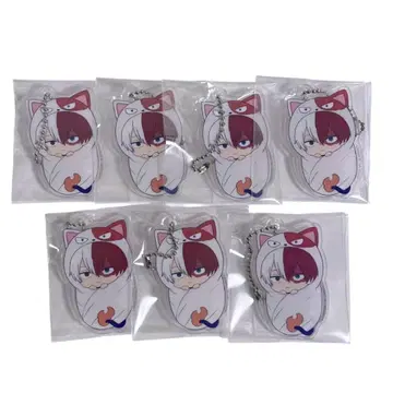 히로아카 토도로키 쇼토 7세트