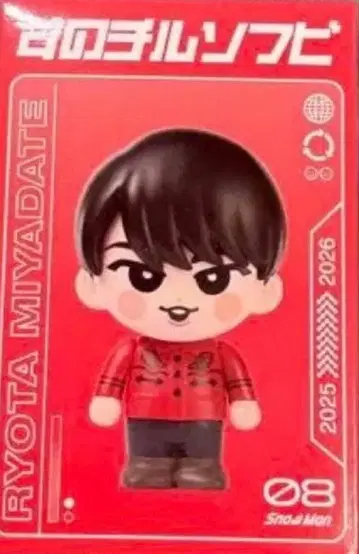 미야타테 료타 소프트 비닐 SnowMan on