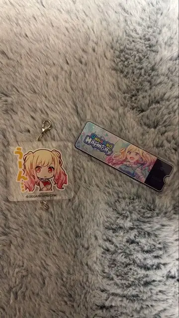 프로세카 뱅드림 5점