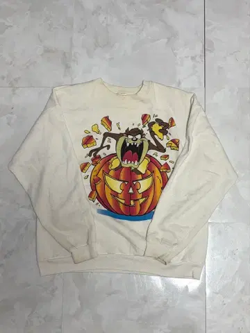 90s USA Hanes 빈티지 맨투맨 태즈메이니아 데빌