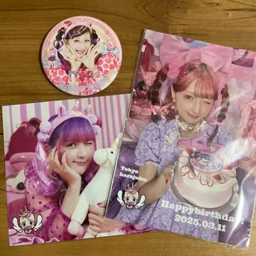 시나코쨩 캔뱃지 브로마이드 세트 페비타피